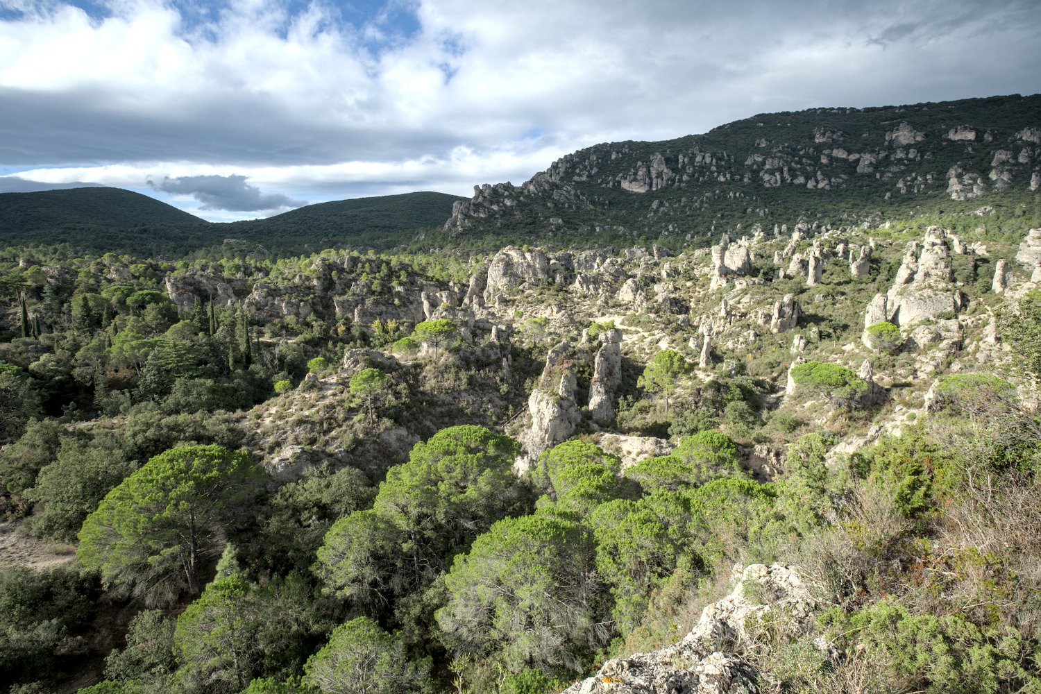 Vue d'ensemble